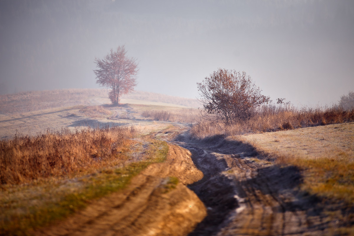 Noyabrskye roads