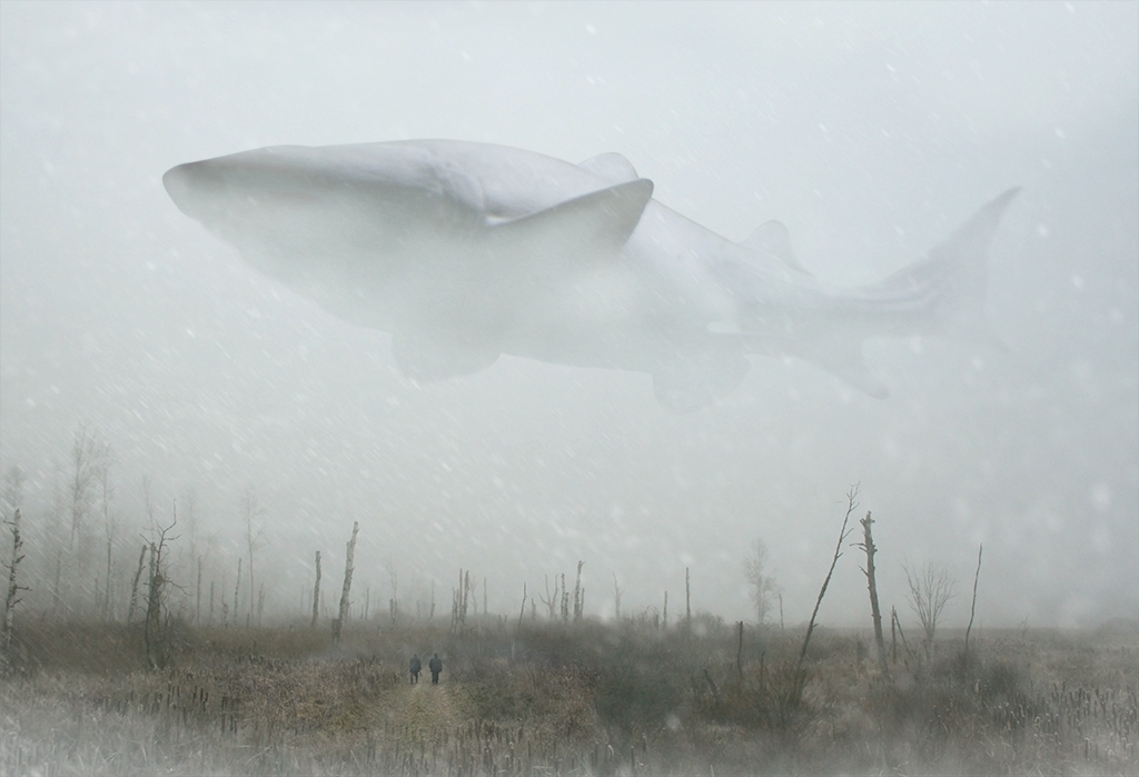 Misty meeting ...