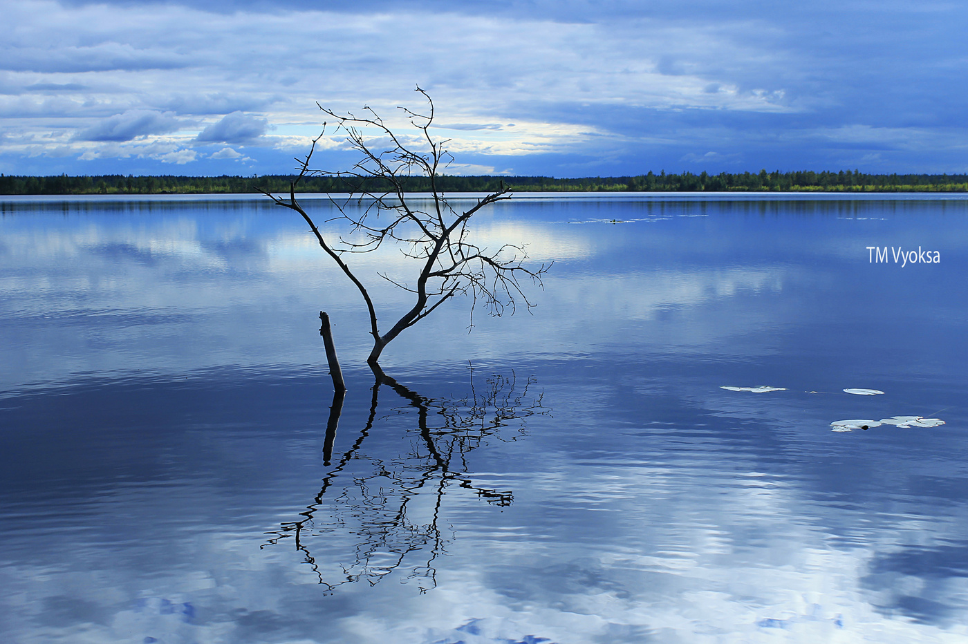 On the lake