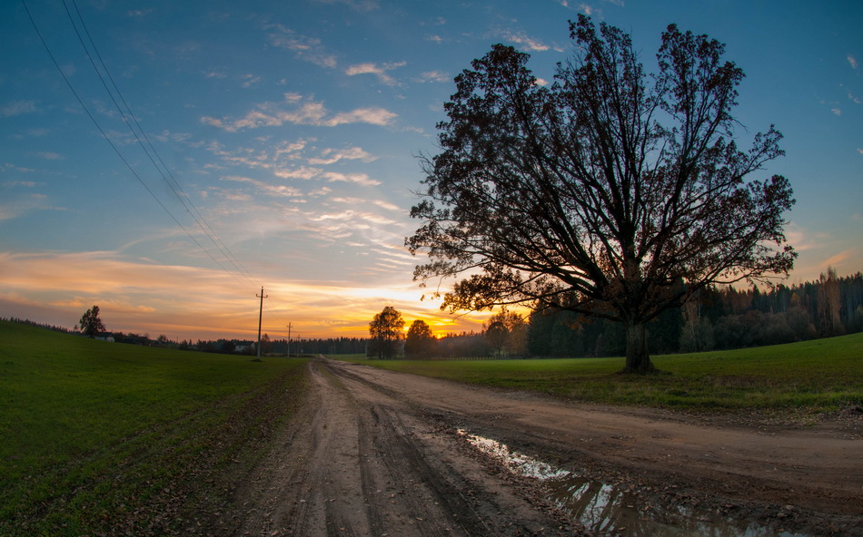 Between fields