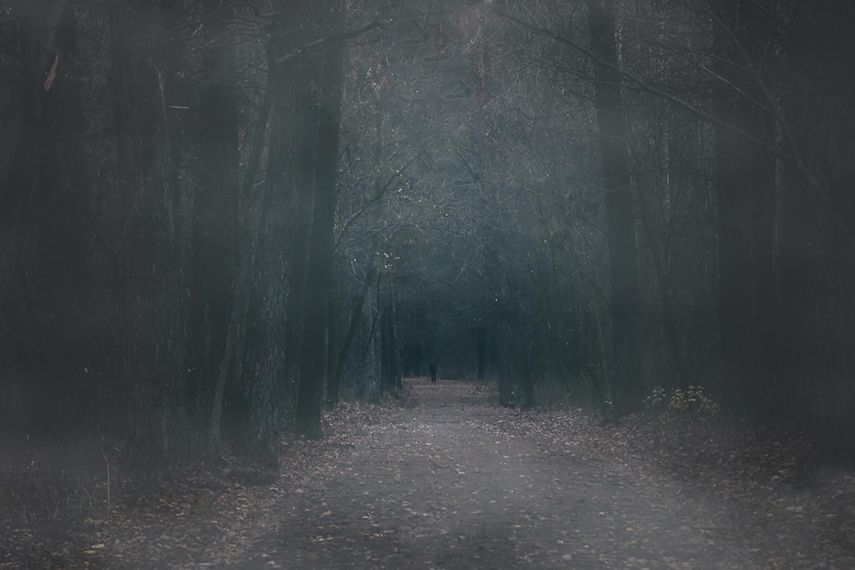 Fog