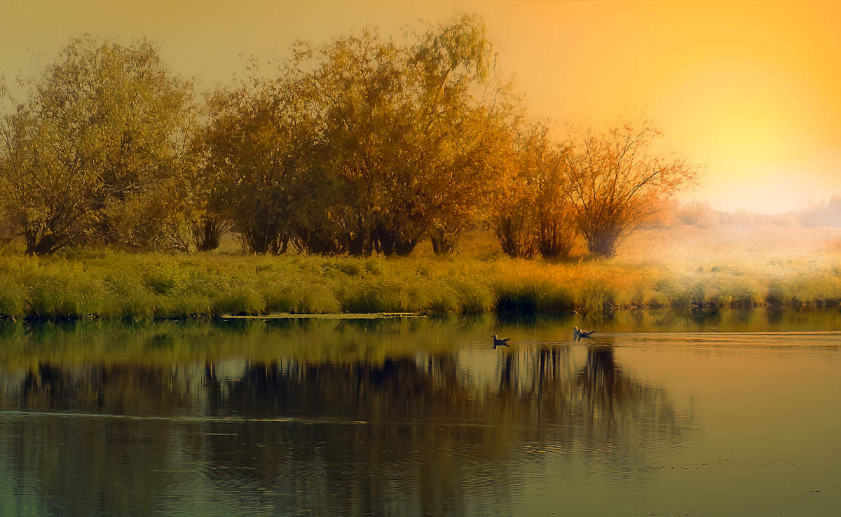 On a small creek ...