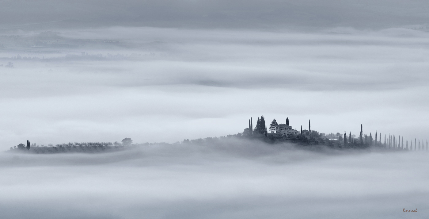 панорама леса высокого разрешения. белые туманы автор. рассвет туман. белая мгла туман. белые туманы автор.