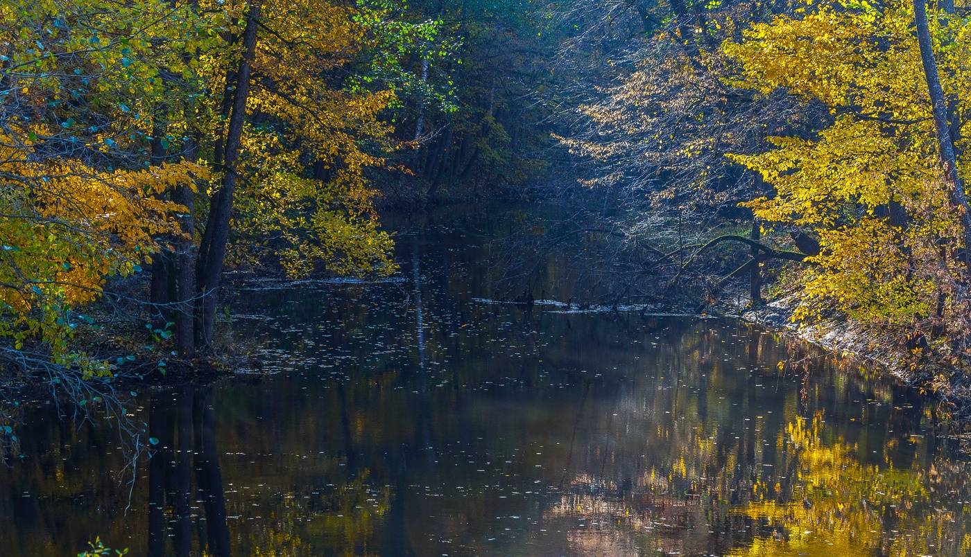 Backwater