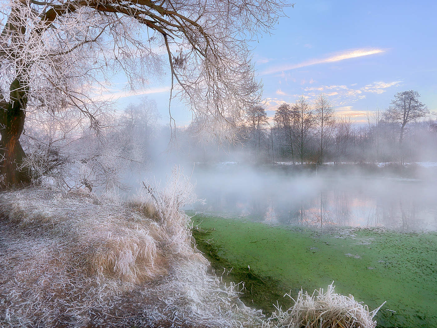 Morning frost ... November 4 ..