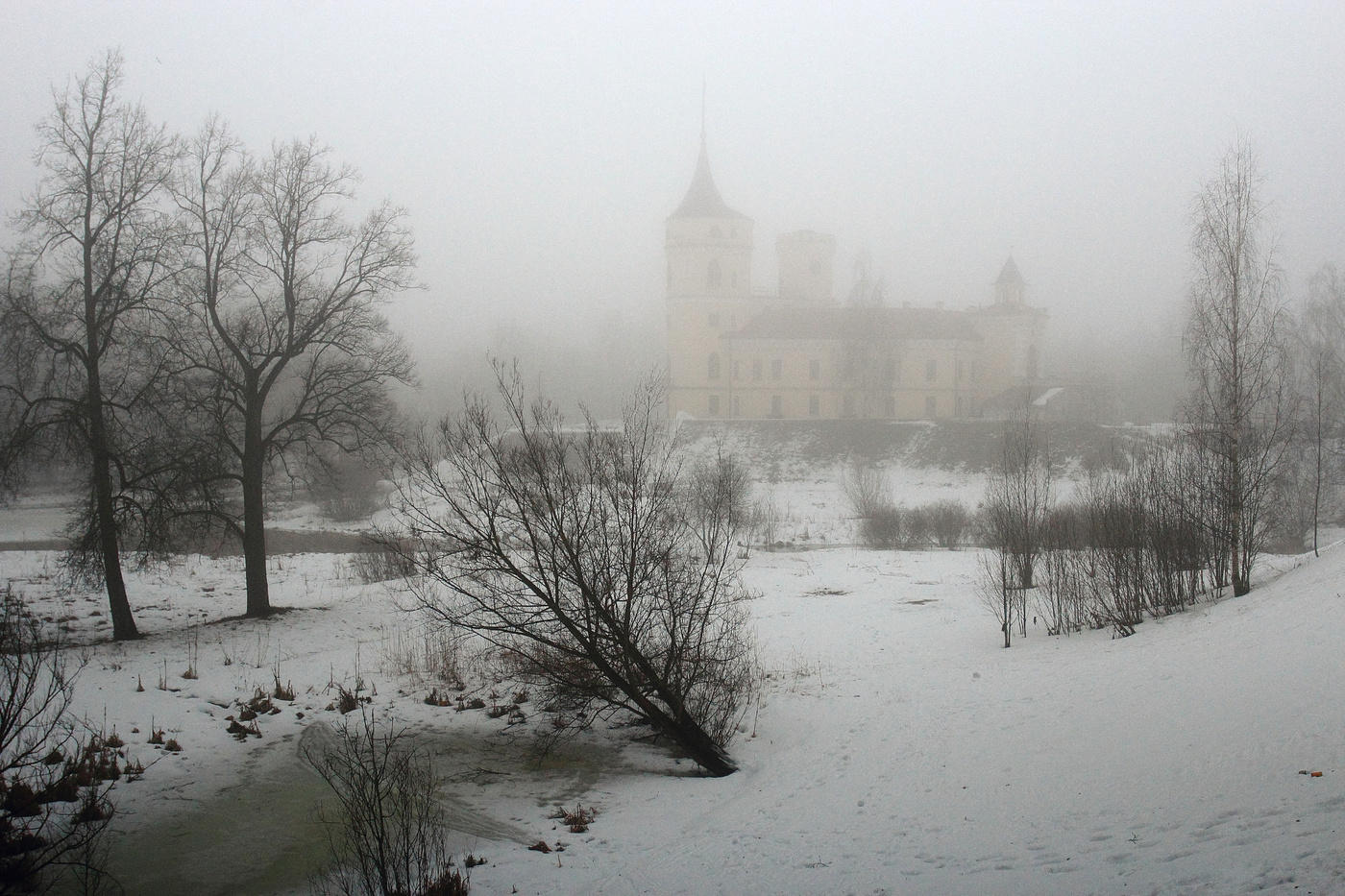 Fog