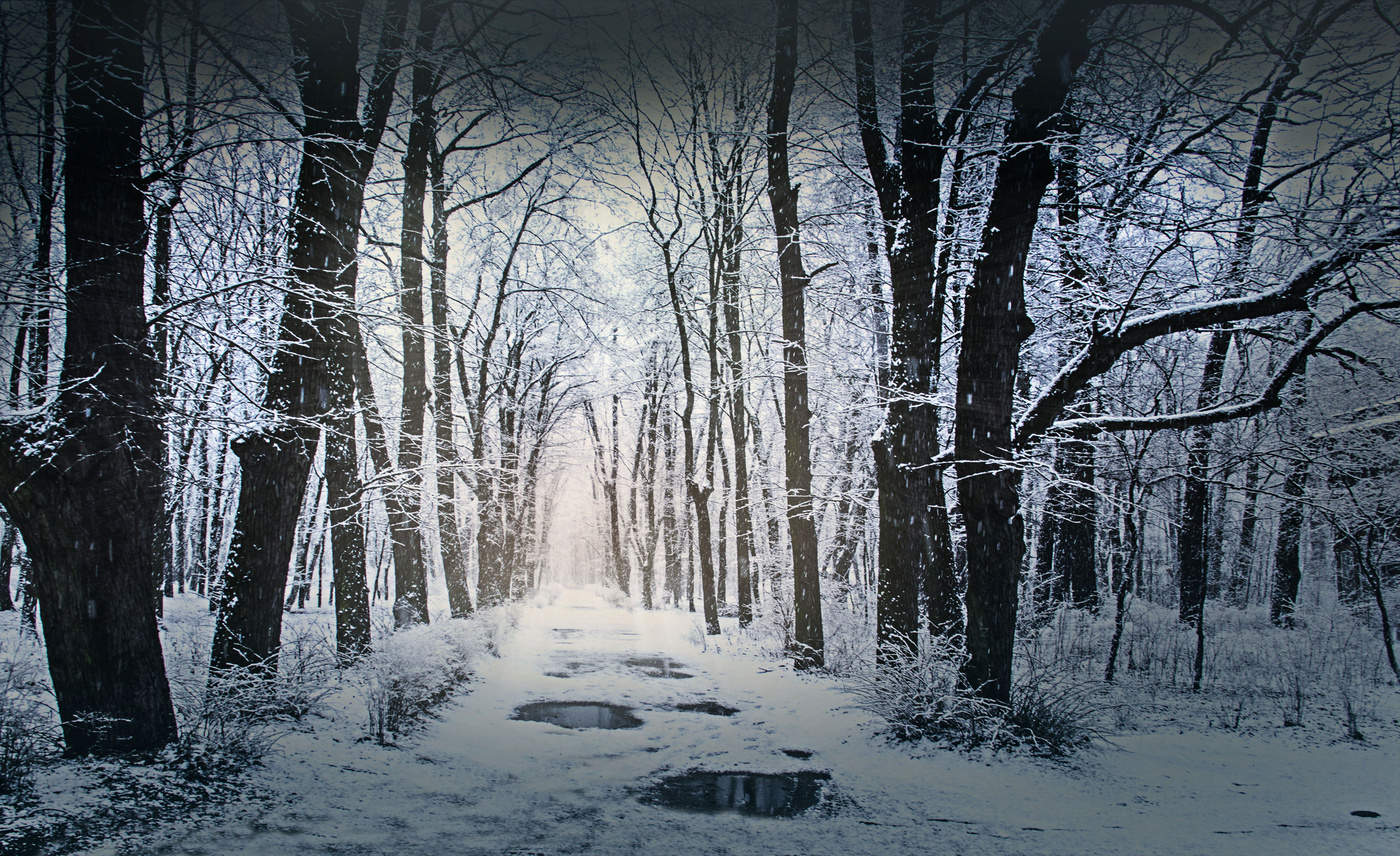 First snow