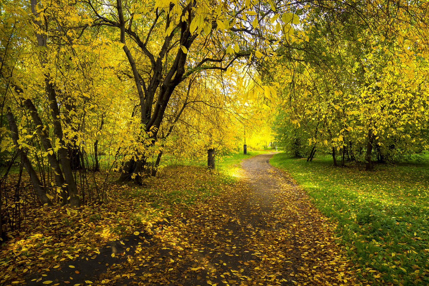 Autumn Park