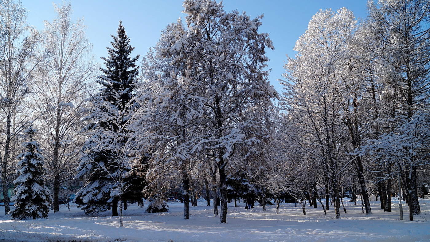 The Winter's Tale