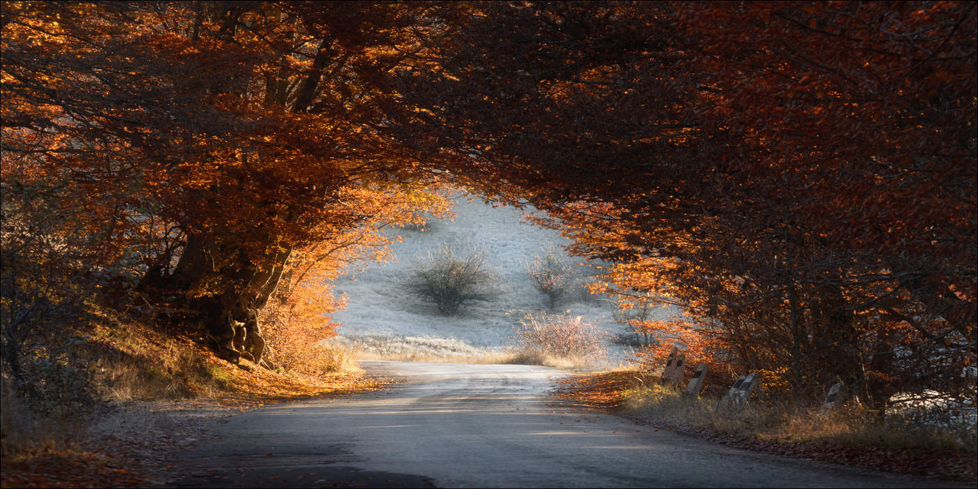 Roads Crimea ...