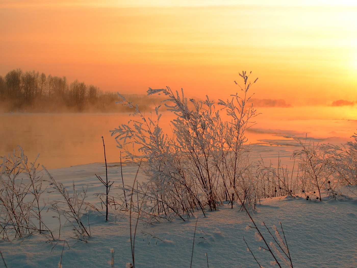 Frost and sun - a wonderful day!