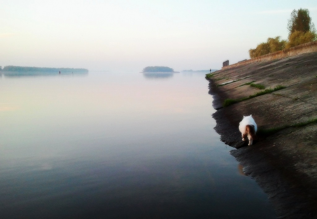 Rhyme of morning light