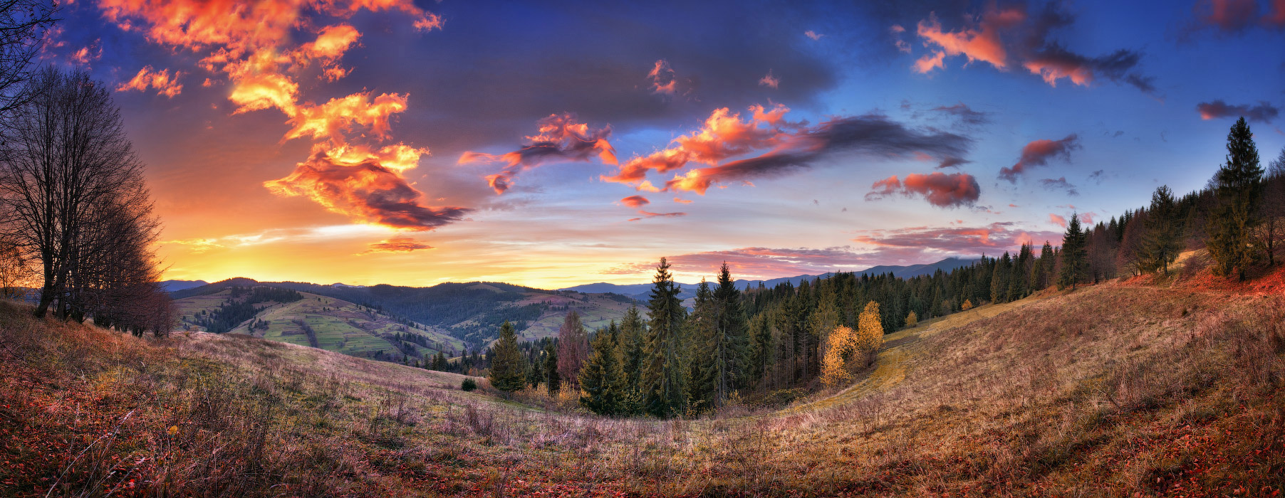 Dawn