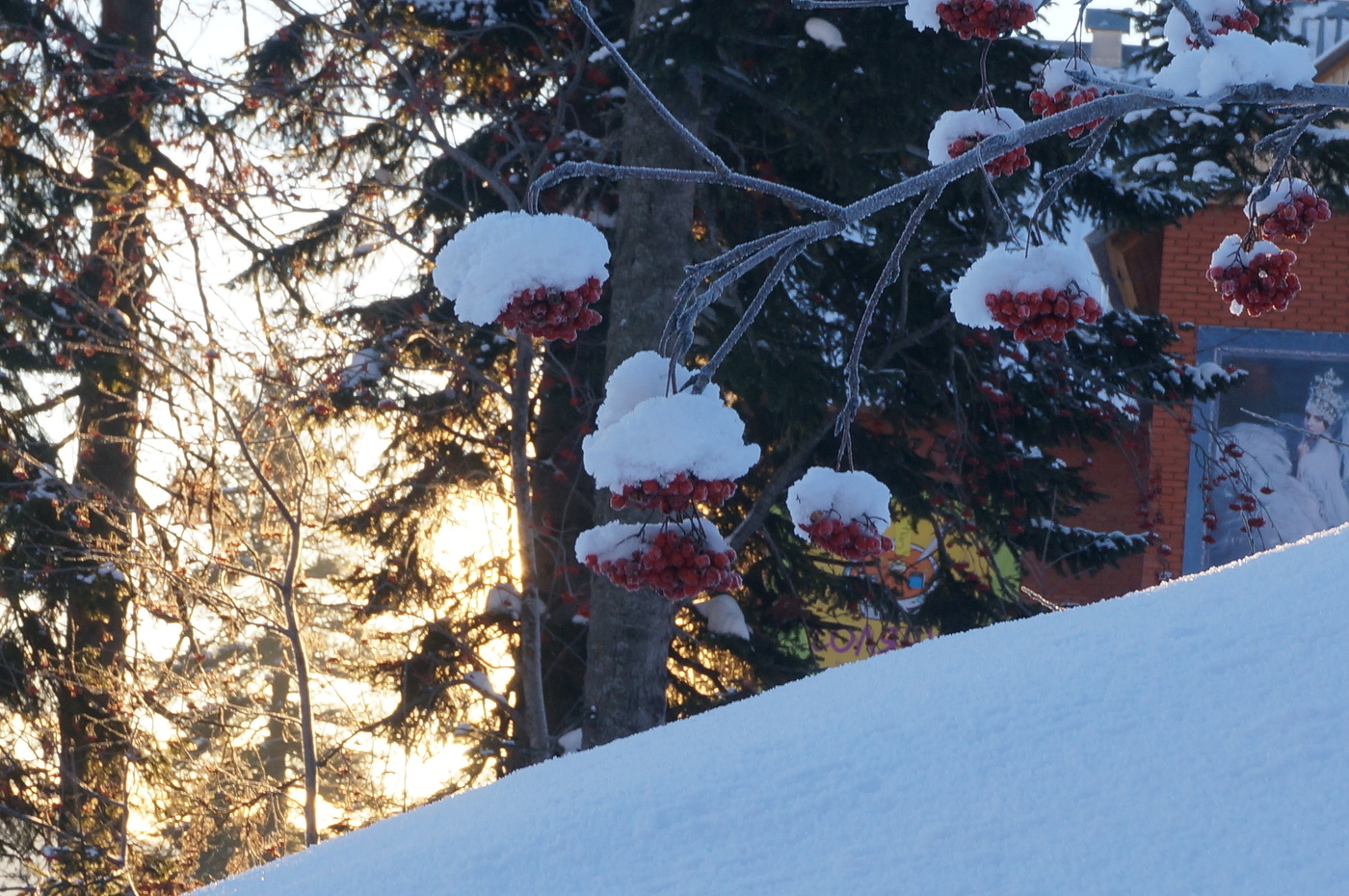 Frost and sun – what a wonderful day