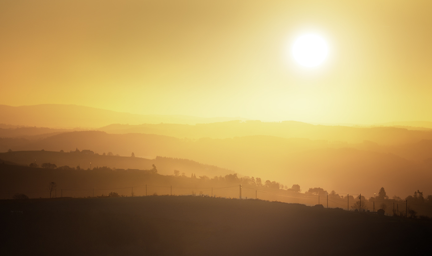 Morning Glory