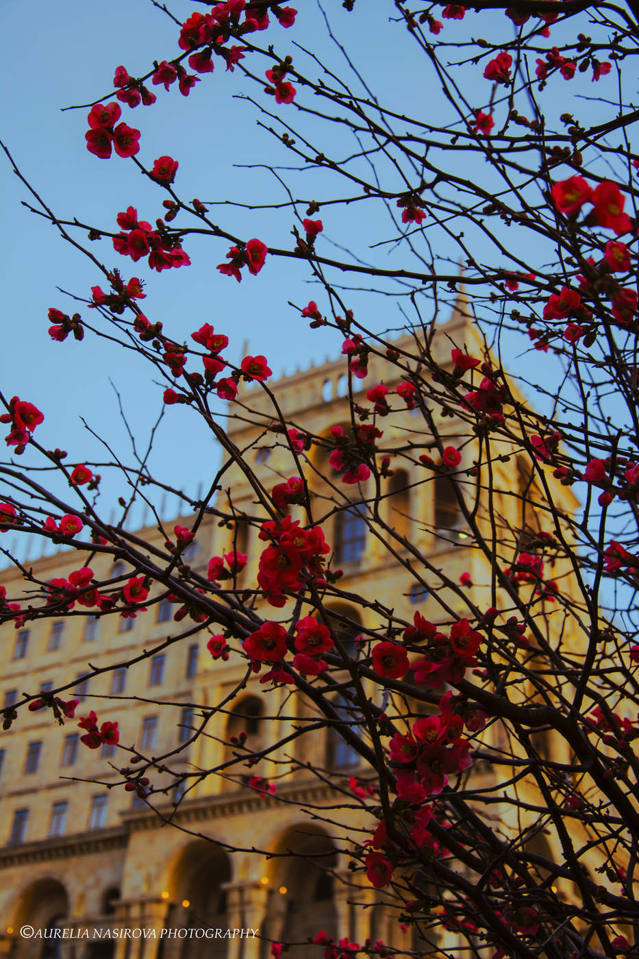 Spring is Here ...