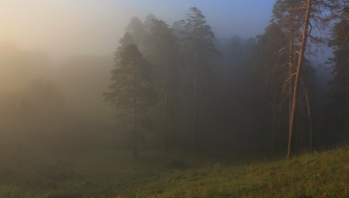 Morning bliss