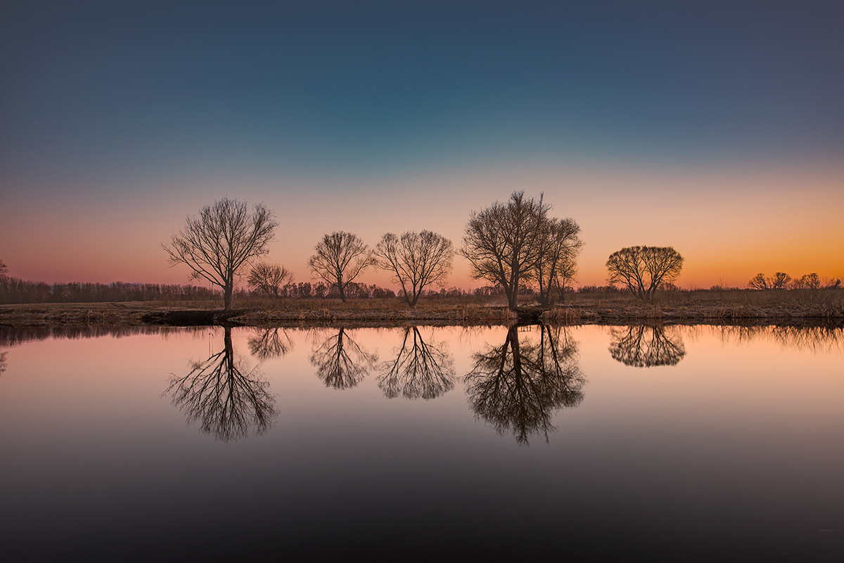 Отраженный вид. Отражение в фотографии. Отражение фото.