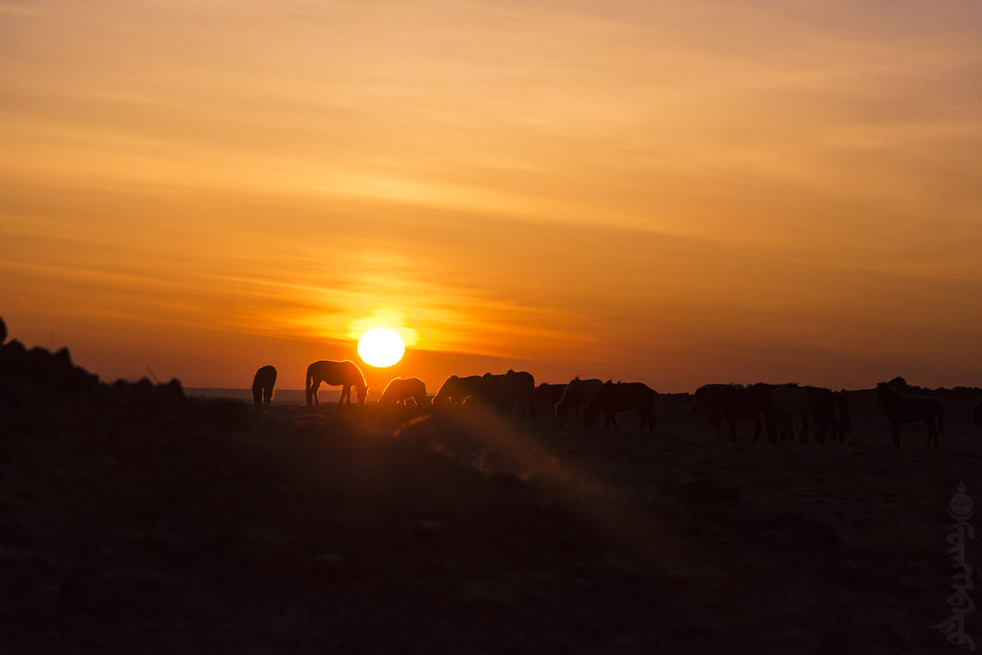 Sunset with Horse