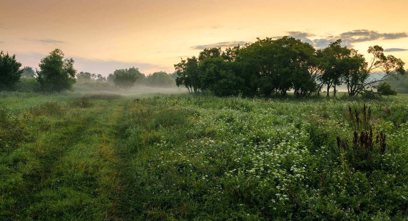 Morning breath