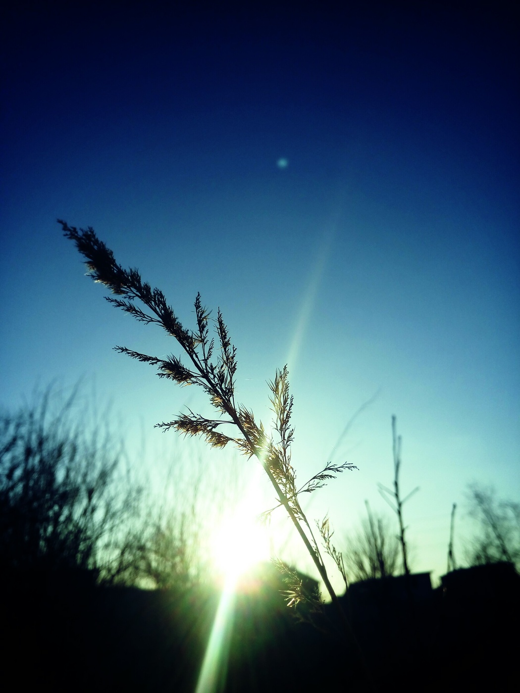 Sun