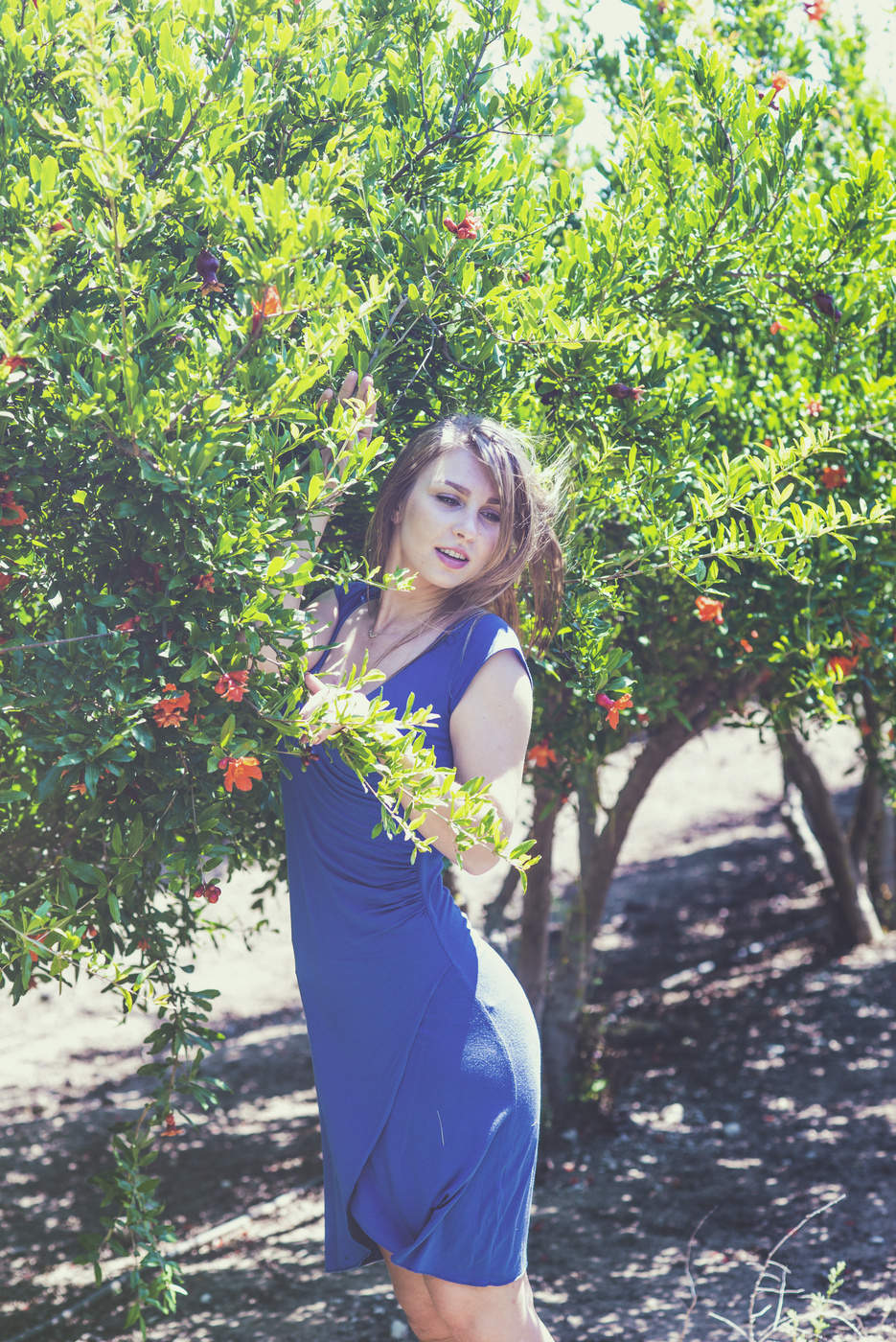 Spring Awakening