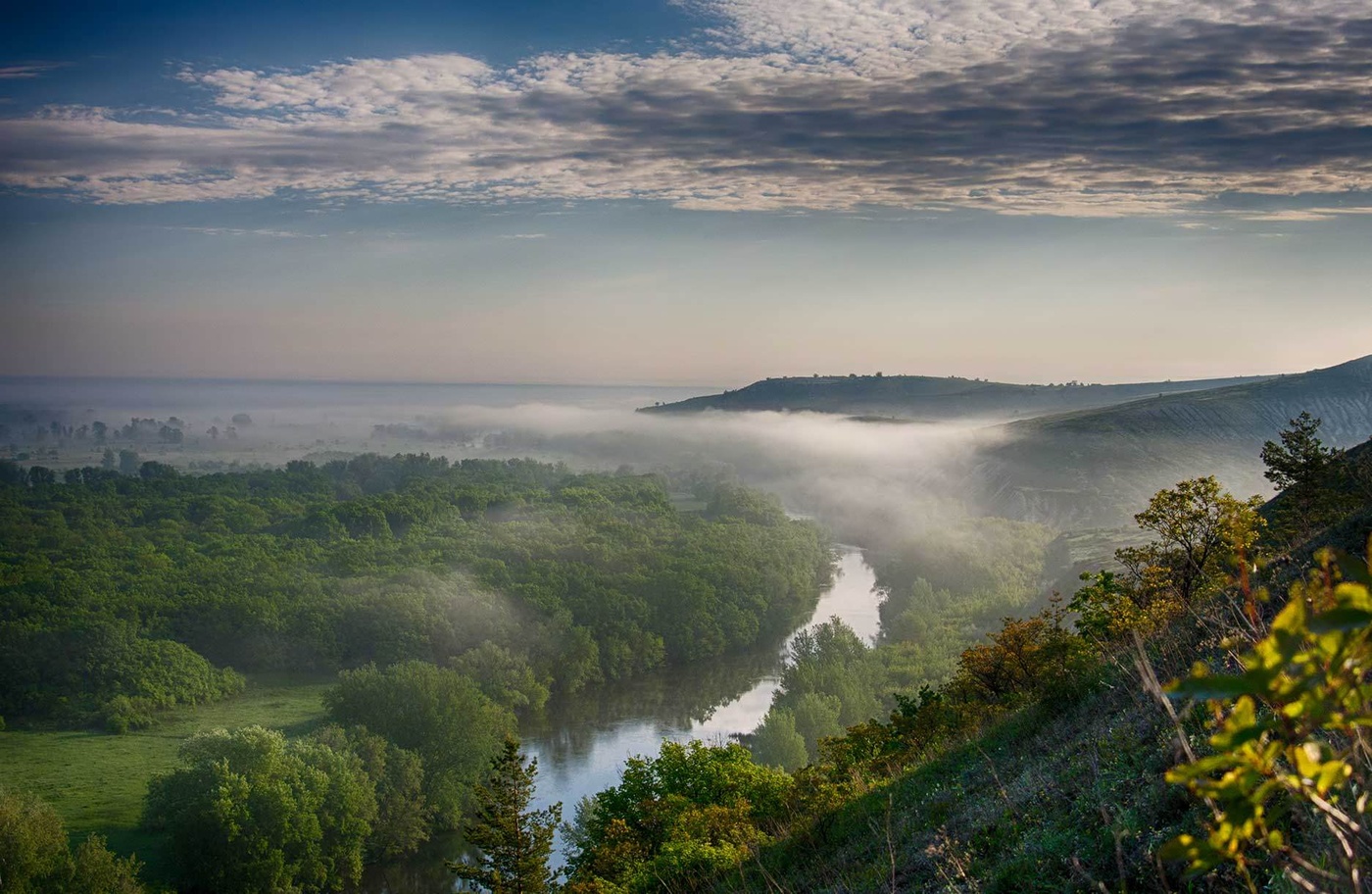 Foggy morning