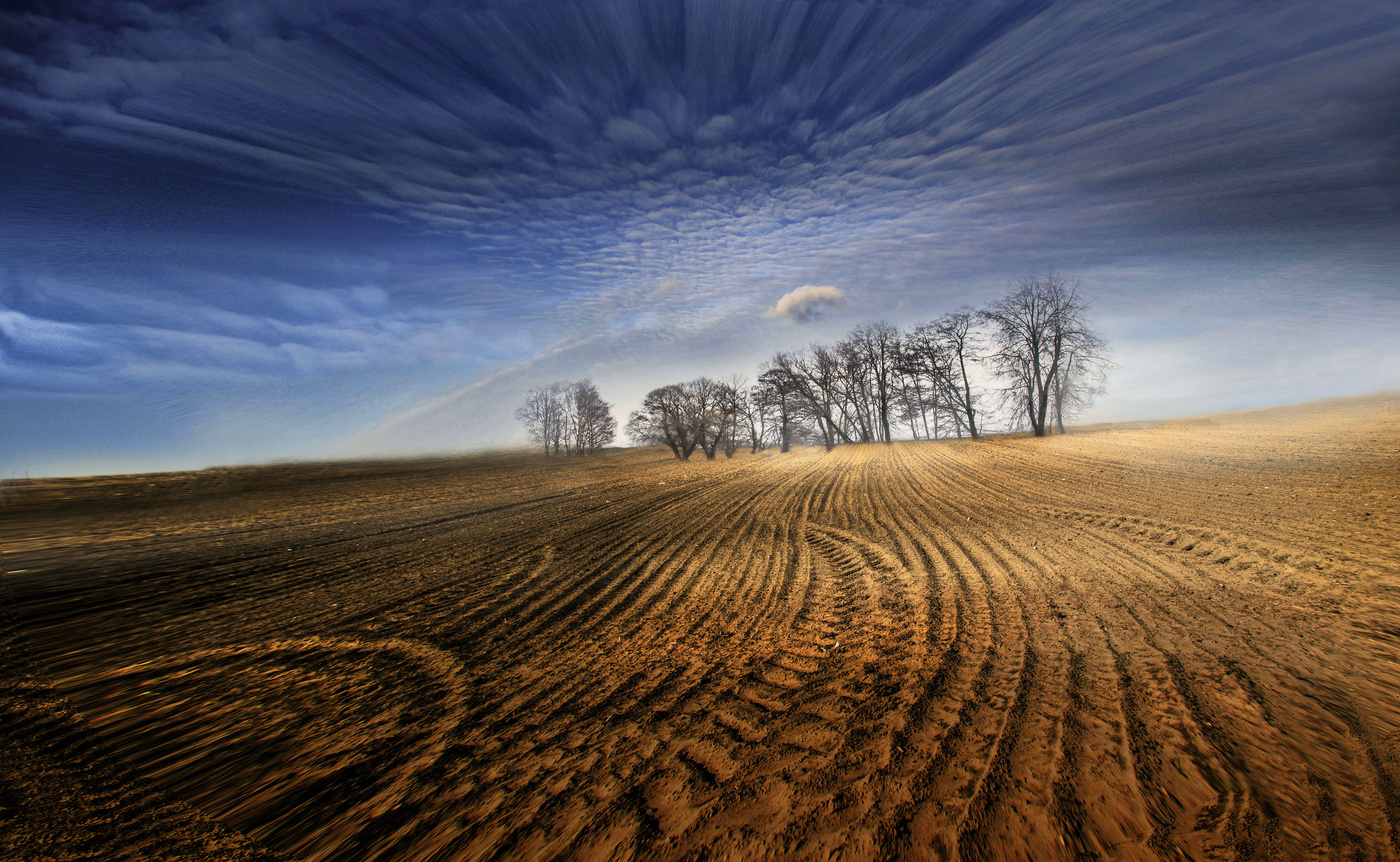 Field