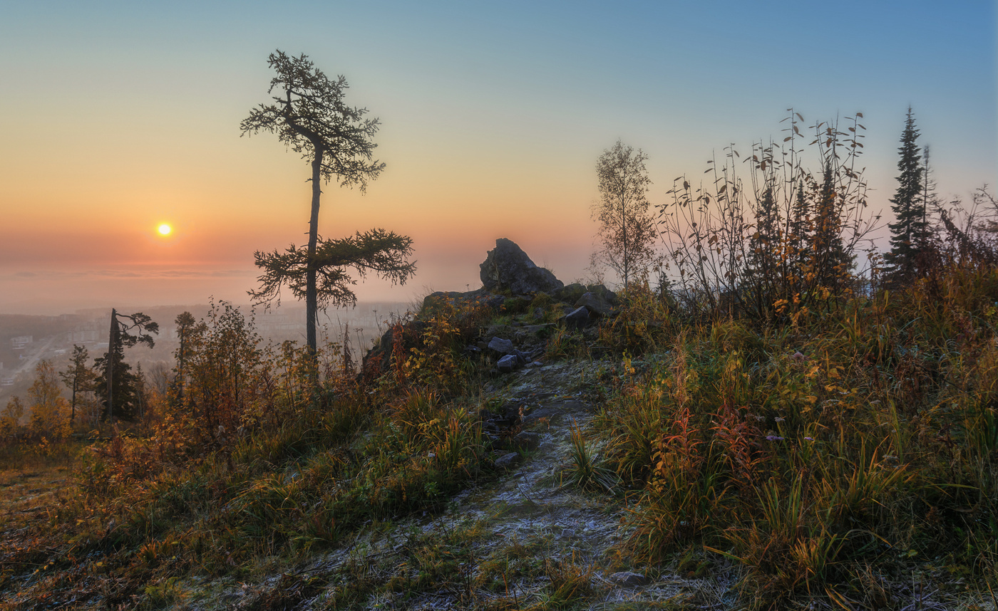 Foggy sunrise