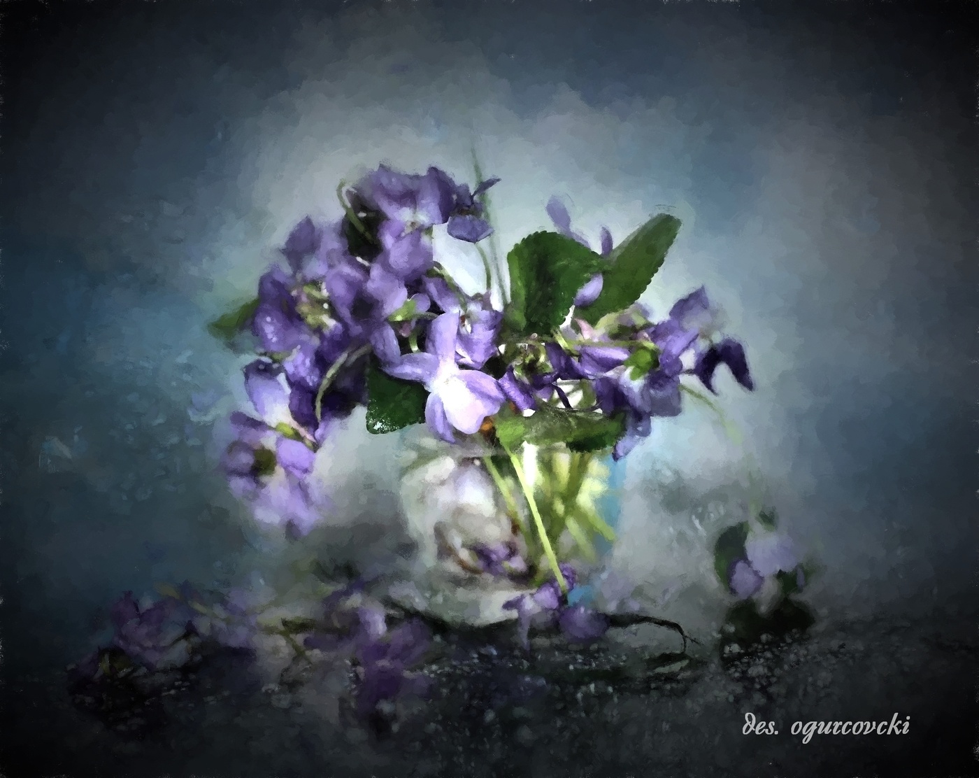 violets / ***