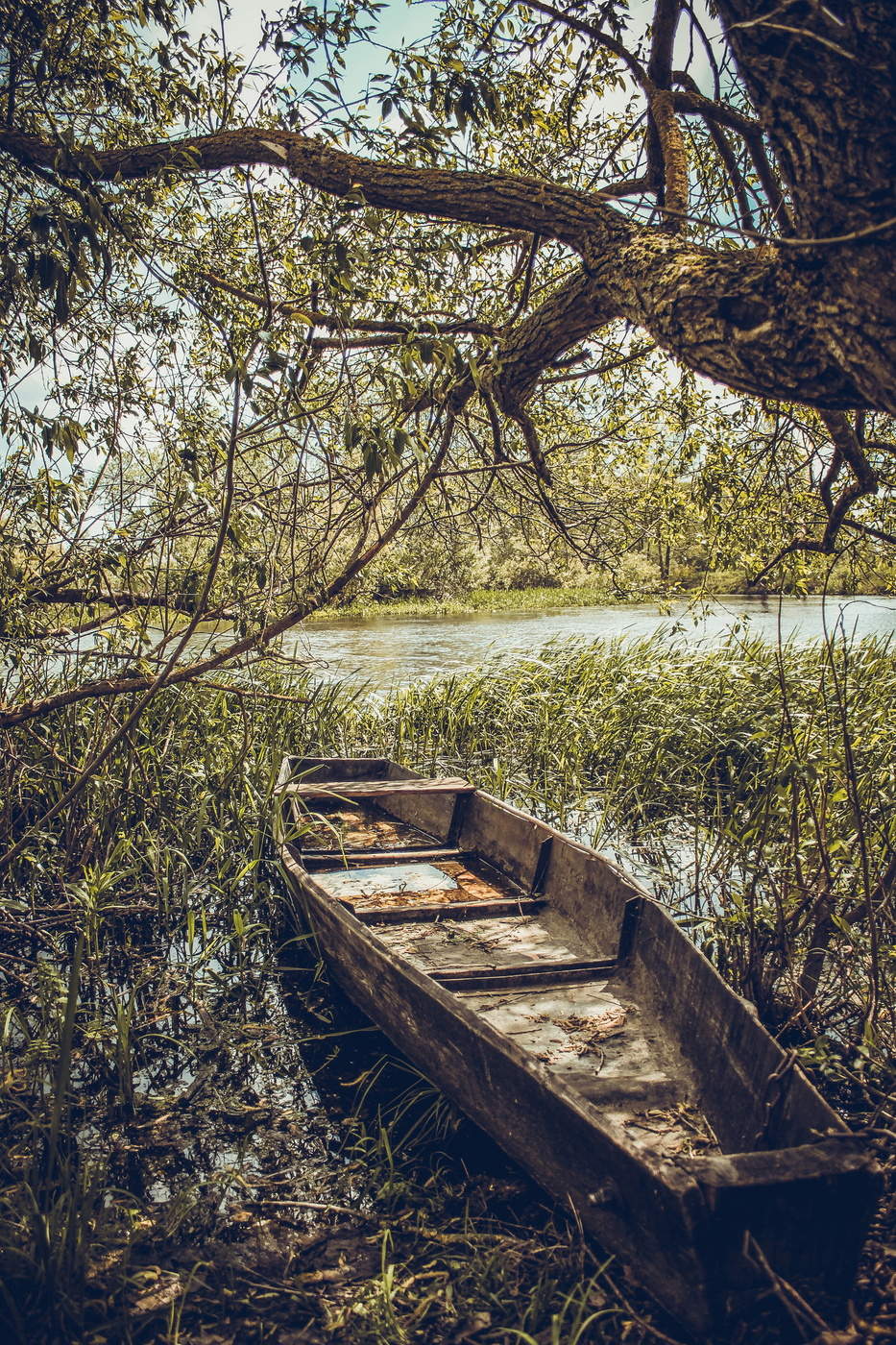 boat