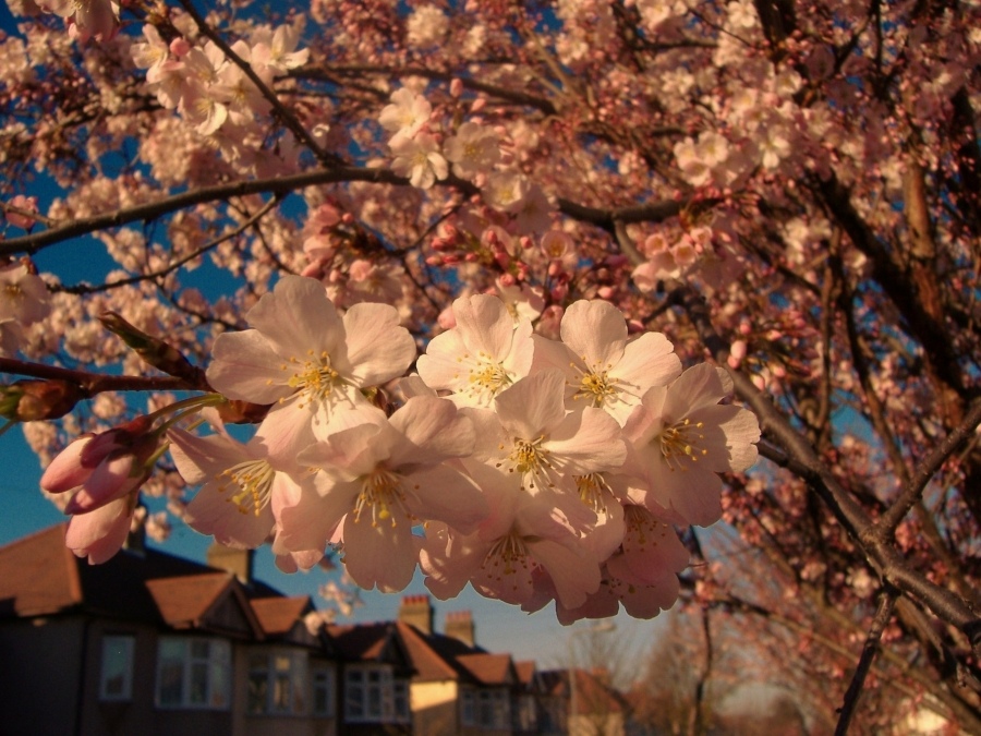 Here it is, SPRING!