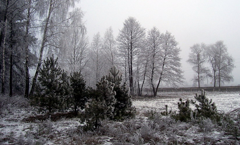 winter dusk-2