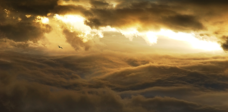 Heavenly Fire