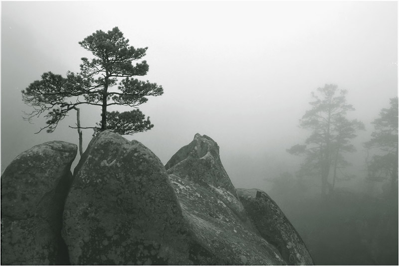 Carpathians