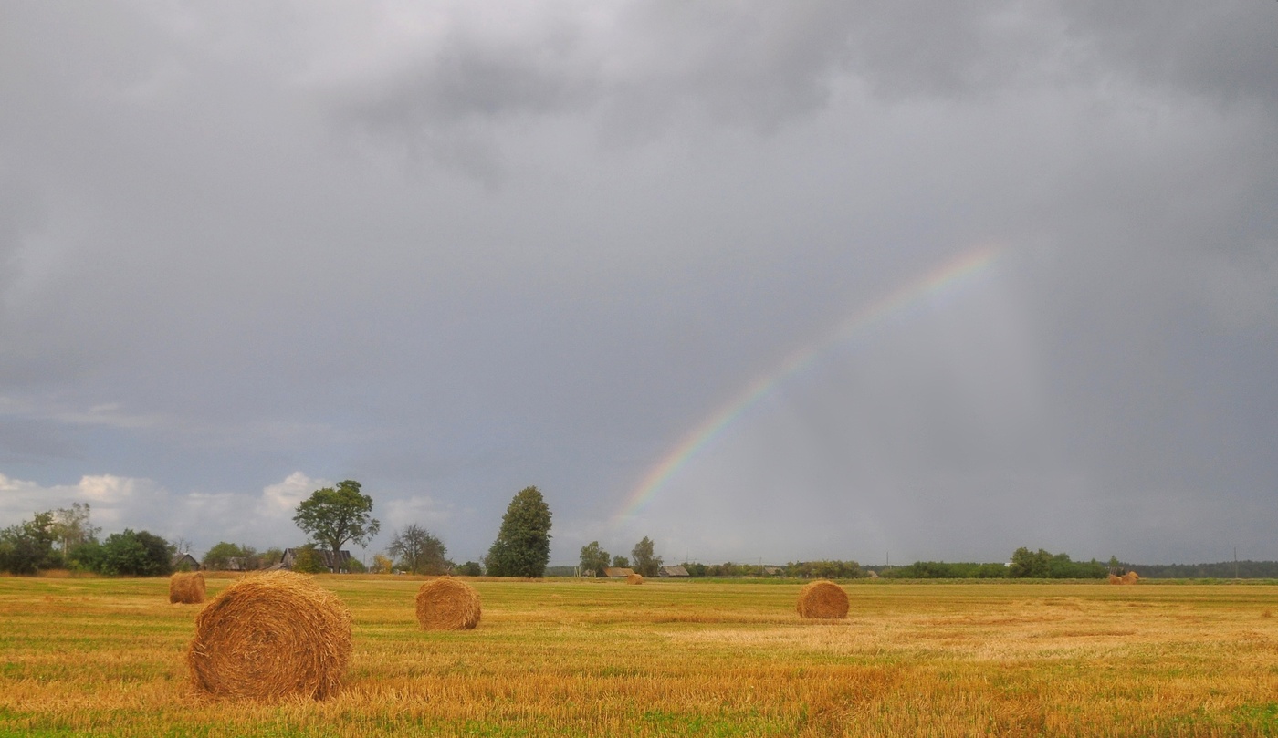 Before the Rain / ***