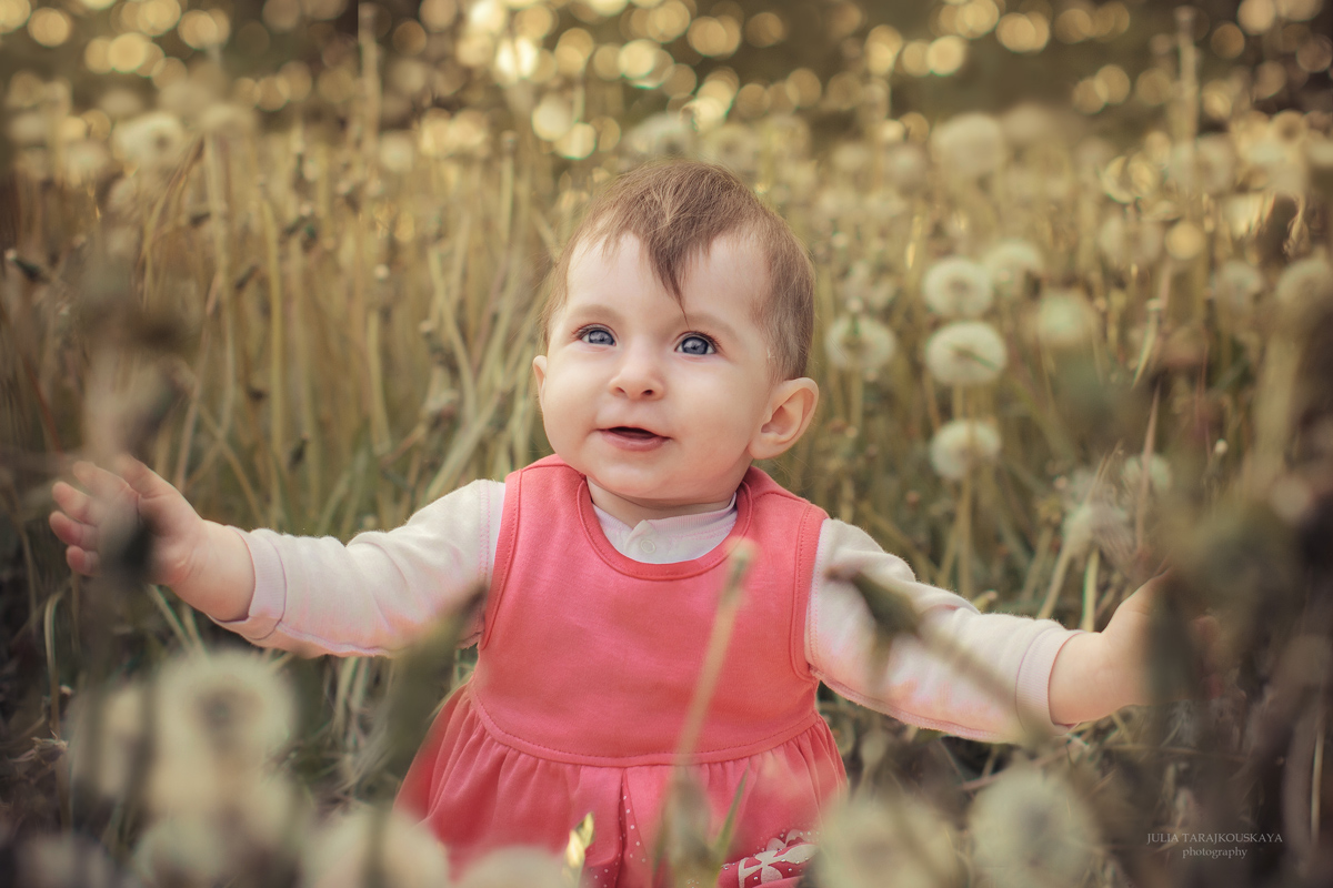 Joy of Life