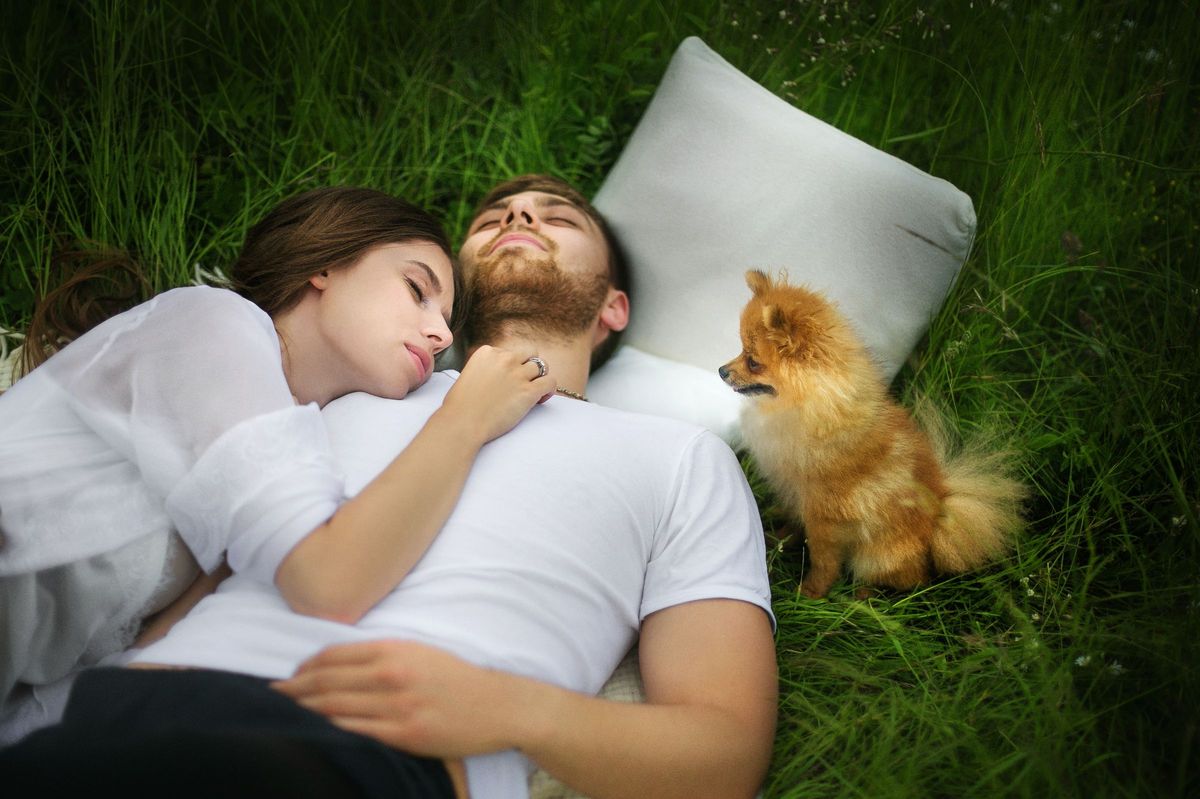 Our dreams