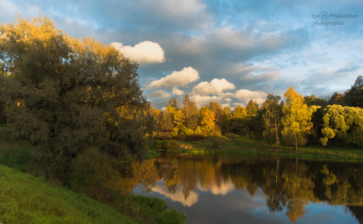 Evening light / ***