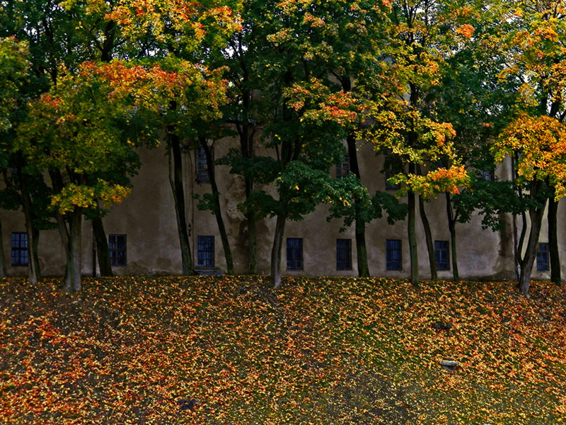 Wall