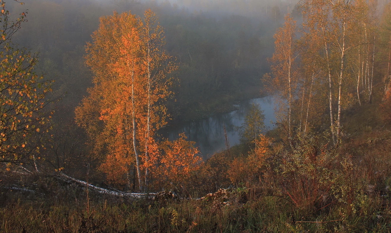 autumn bonfire