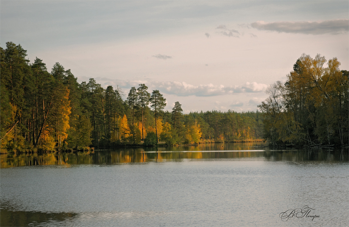Colours of the autumn morning