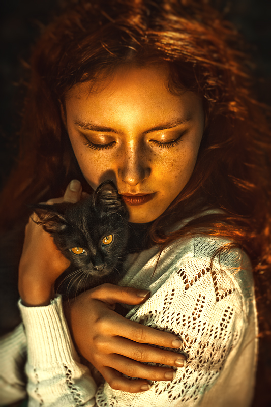 Black cat