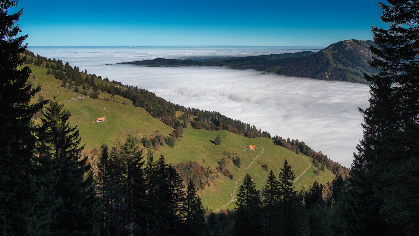 Rigiblick
