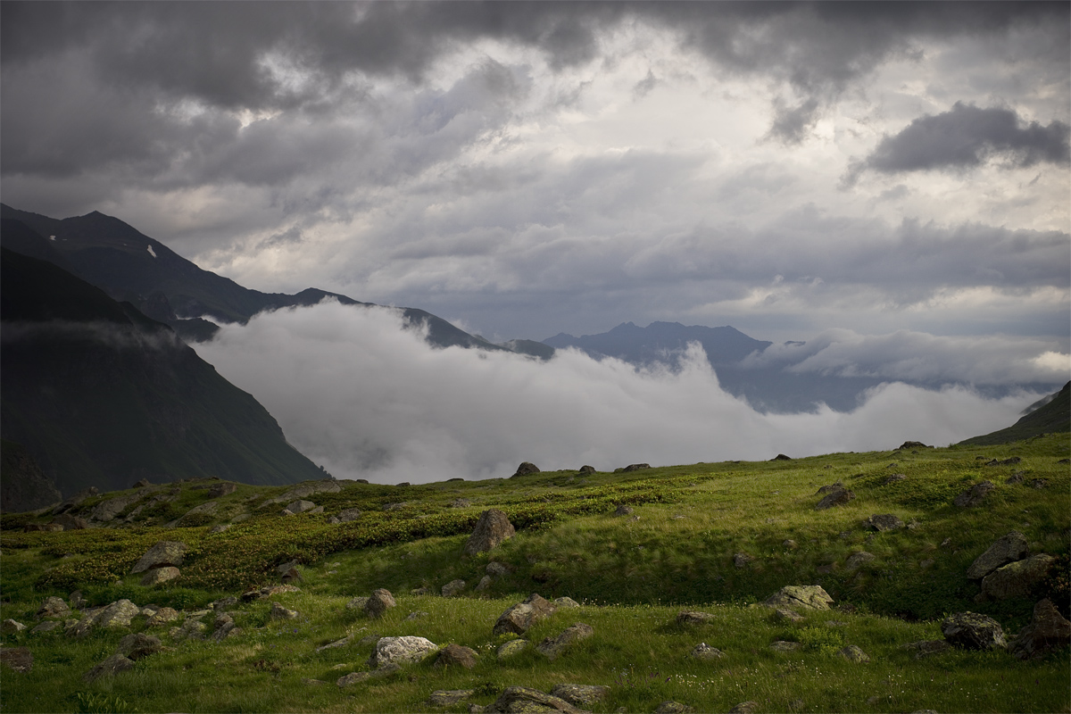 Partly Cloudy