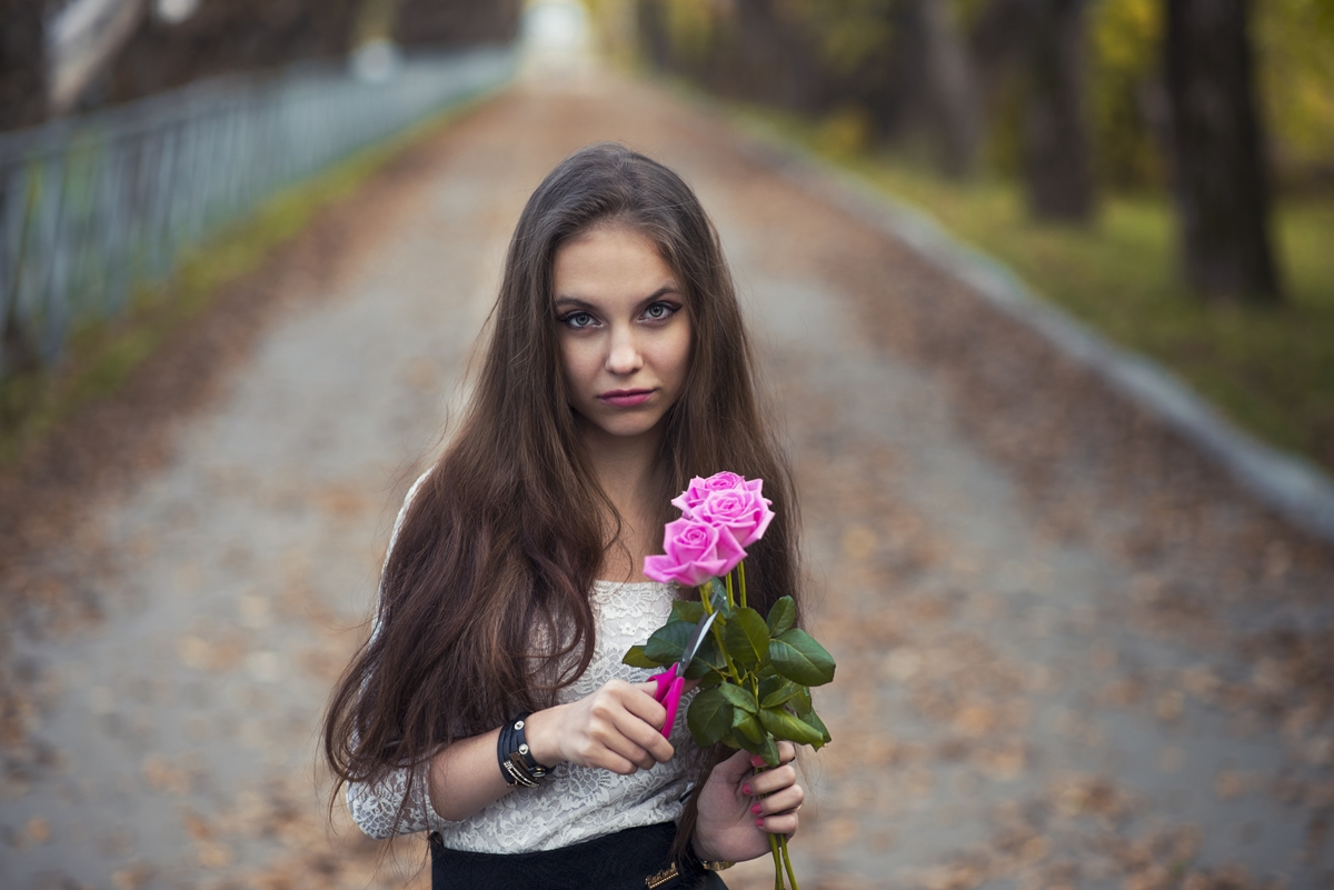 Pink roses