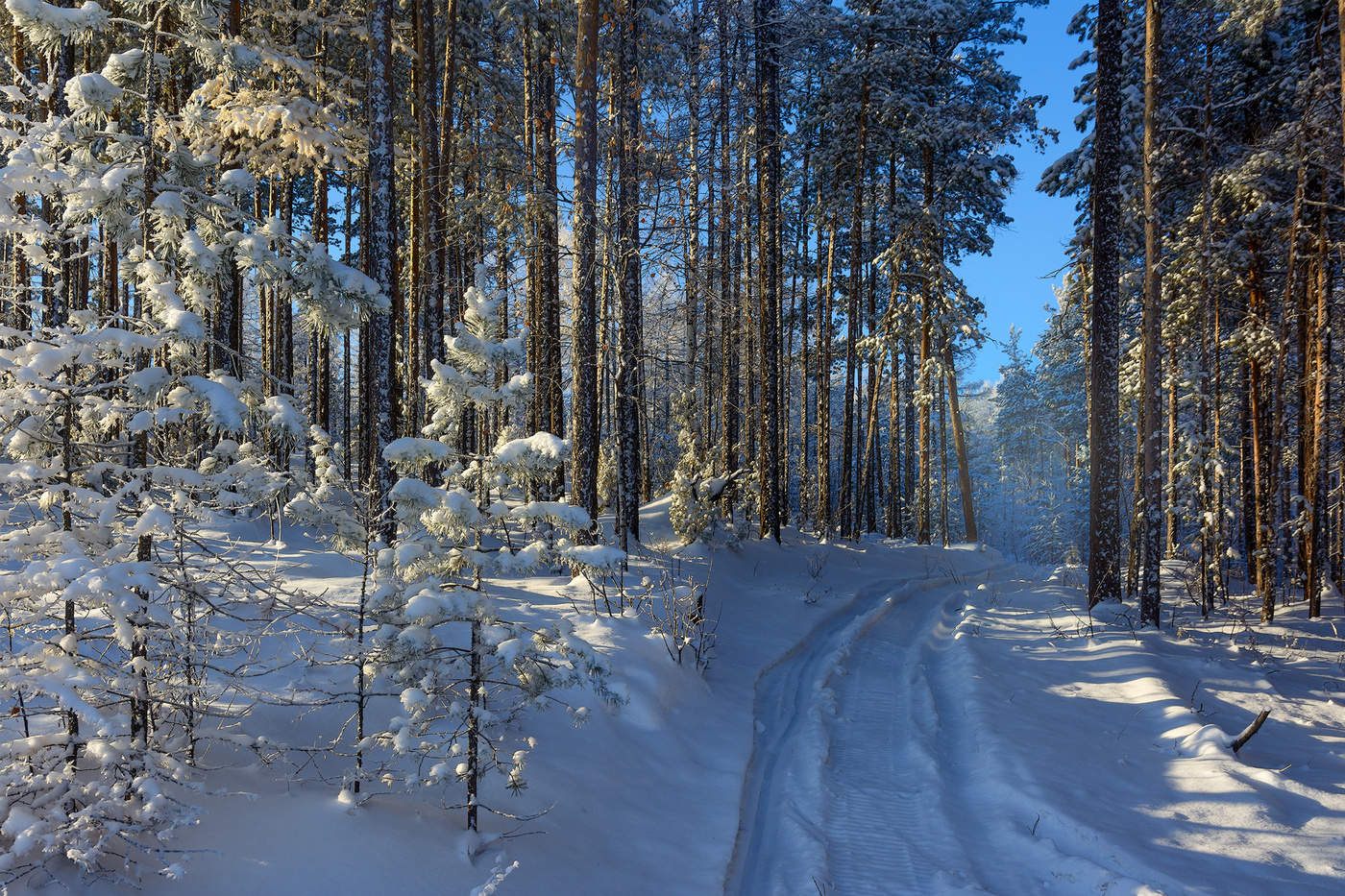 Frosty denyok