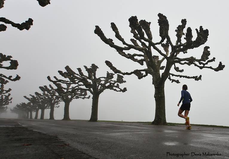 Time fogs / ***