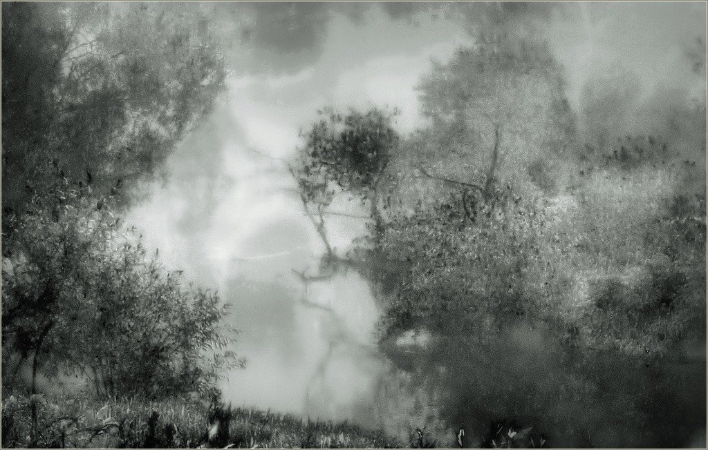 Autumn dream