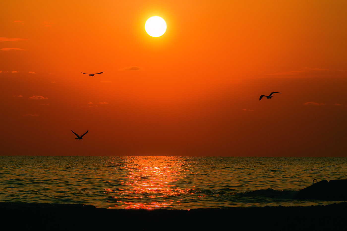Evening